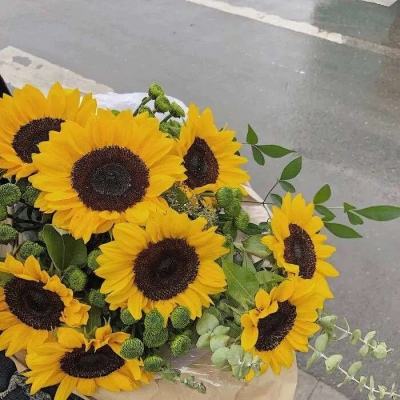 皇冠体育app正版下载截图