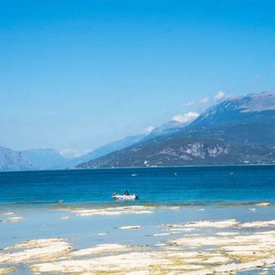 新天地棋牌手机app下载