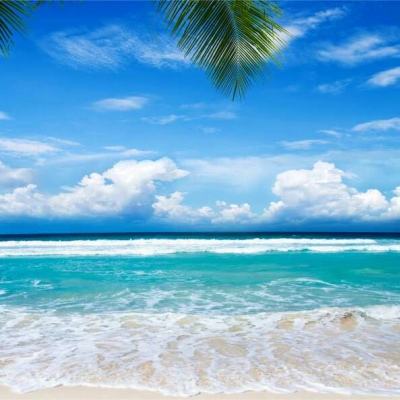 安博体育app官方下载入口